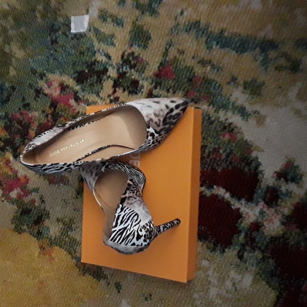 Pumps